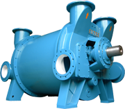 Liquid Ring Vacuum Pump